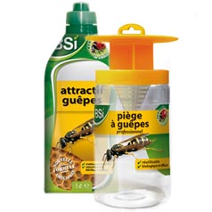 Piege a guepes